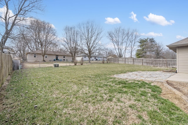 view of yard with a patio area and a fenced backyard