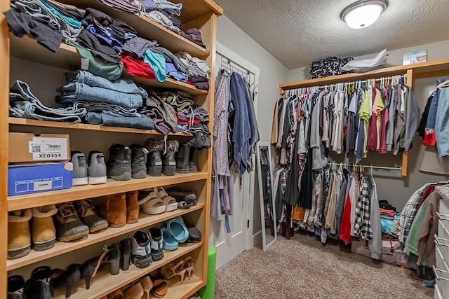 spacious closet featuring carpet flooring