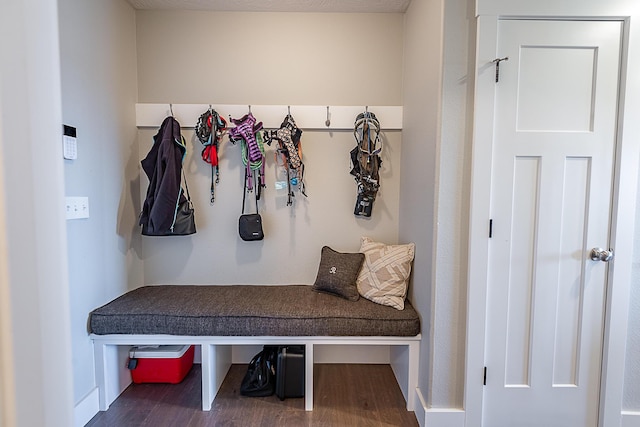 mudroom featuring wood finished floors