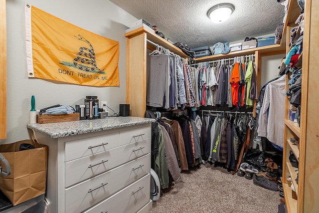 spacious closet featuring carpet floors