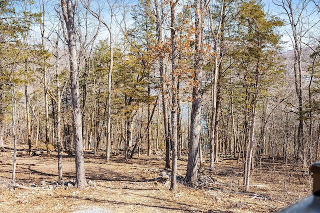 view of local wilderness with a wooded view