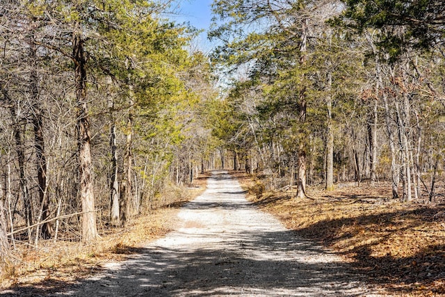 view of street featuring a wooded view