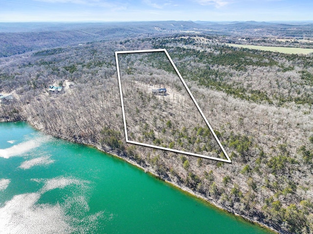 birds eye view of property featuring a water and mountain view