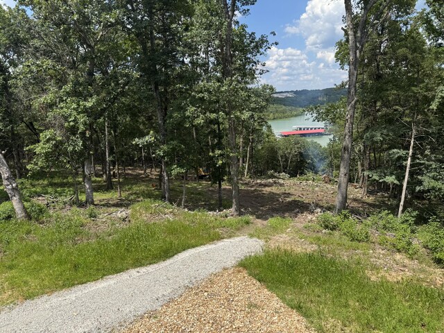485 Cedarledge Rd, Lampe, MO 65681 - photo 4