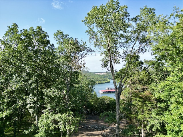 485 Cedarledge Rd, Lampe, MO 65681 - photo 60
