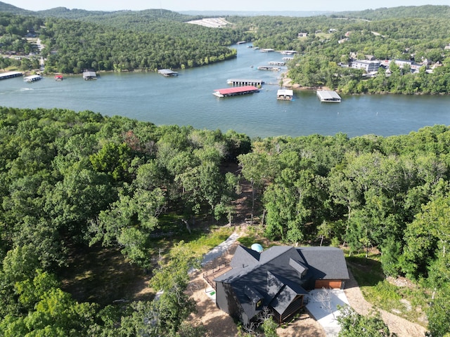 485 Cedarledge Rd, Lampe, MO 65681 - photo 64