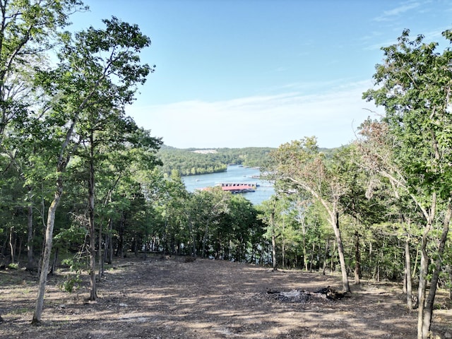 485 Cedarledge Rd, Lampe, MO 65681 - photo 3