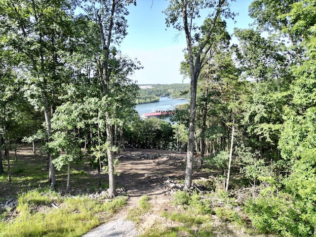 485 Cedarledge Rd, Lampe, MO 65681 - photo 59