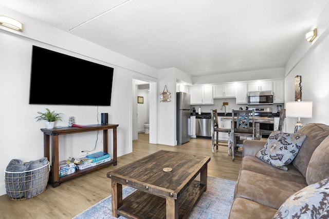 living area with light wood finished floors