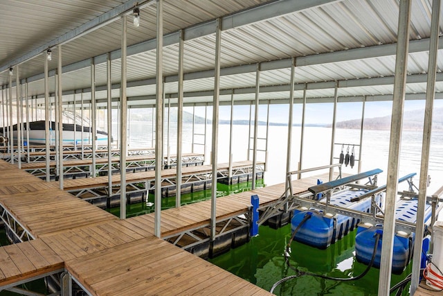 dock area with boat lift and a water view