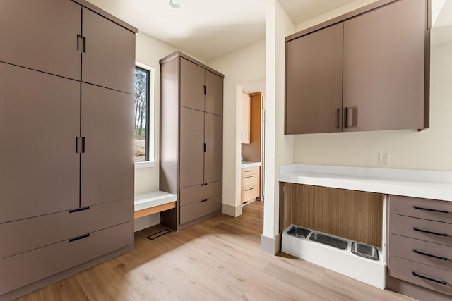 interior space featuring light countertops, light wood-style flooring, modern cabinets, and gray cabinetry