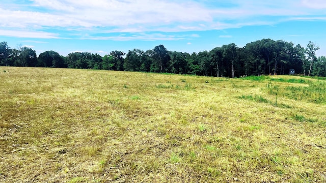 TBD Farm Rd Unit 1040, Exeter MO, 65647 land for sale