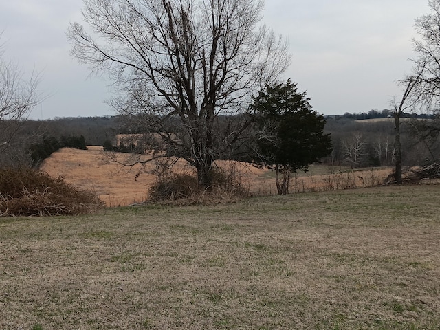 view of yard with a rural view