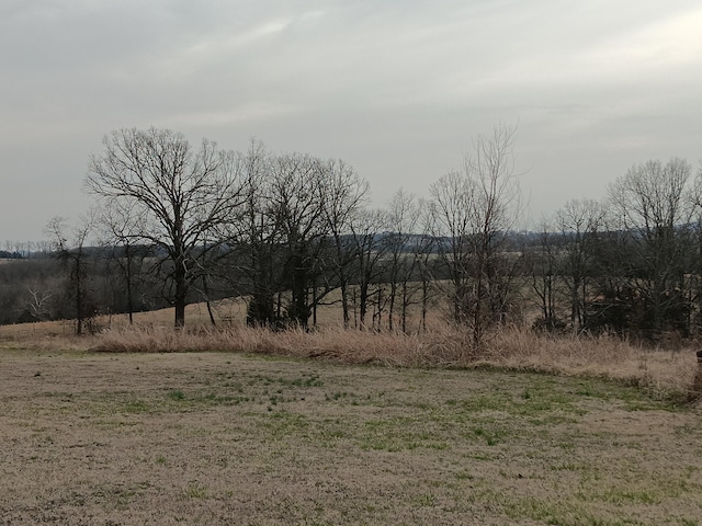 view of local wilderness