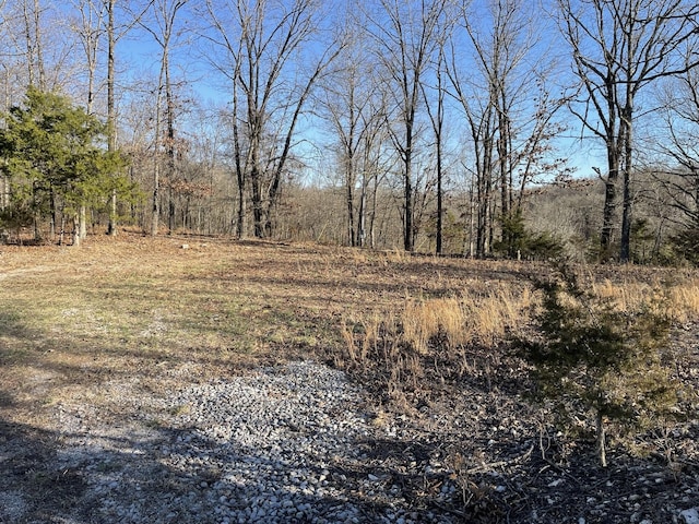 Listing photo 2 for 000 Bald Eagle Dr, Galena MO 65656