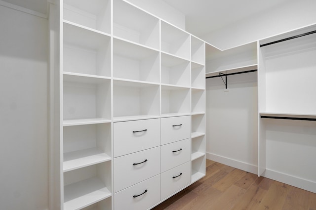 spacious closet featuring wood finished floors