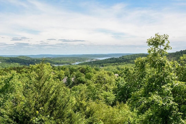 Listing photo 2 for Lot227 Bethany Lane Oak Creek Pkwy, Branson West MO 65737