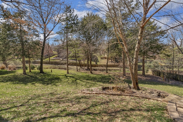 view of yard featuring fence