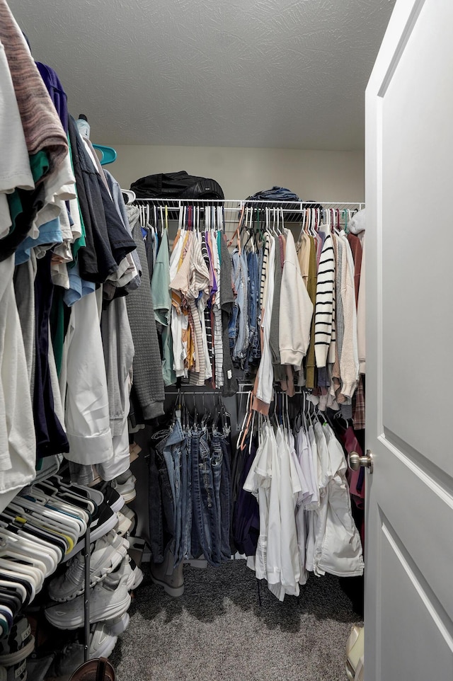 spacious closet featuring carpet flooring