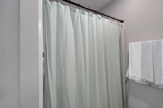 room details with a shower with curtain