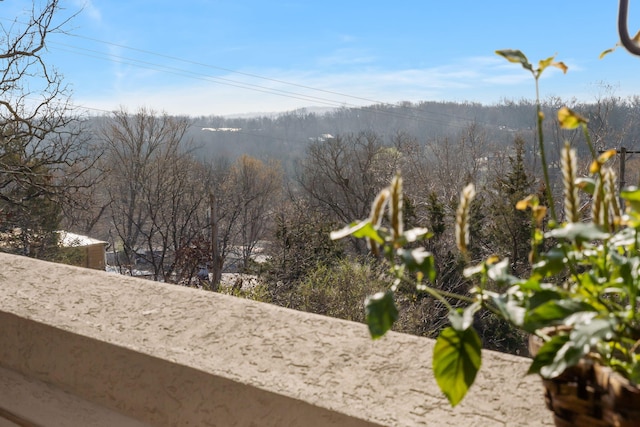 property view of mountains with a forest view