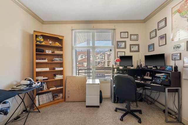 carpeted home office with ornamental molding