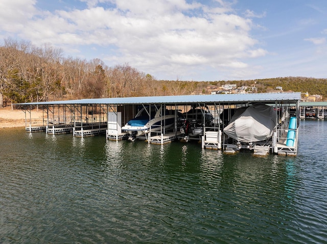 view of dock with a water view and boat lift