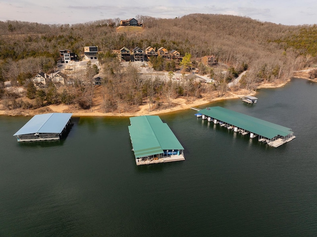 bird's eye view with a water view and a view of trees