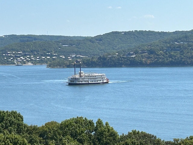 view of water feature