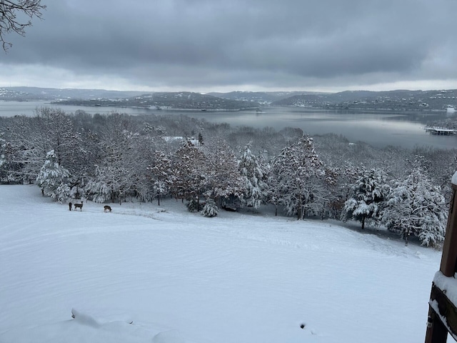 snowy aerial view with a mountain view