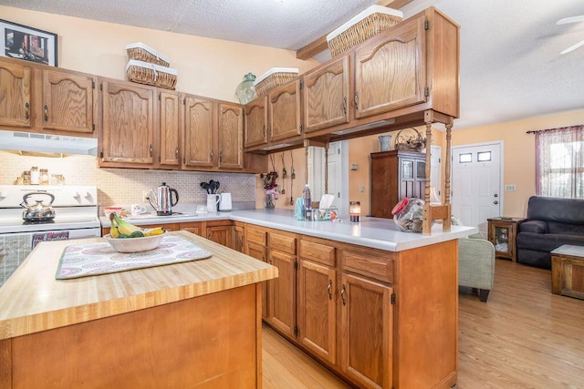 kitchen with under cabinet range hood, decorative backsplash, light wood-style floors, and butcher block counters