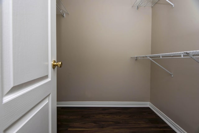 walk in closet featuring wood finished floors