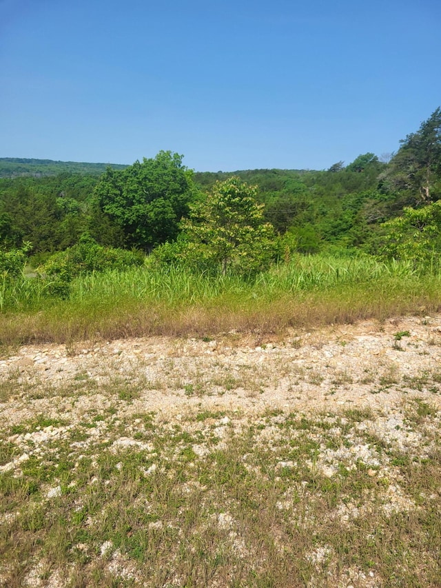 000 Cardinal Ln, Greenfield, MO 65661
