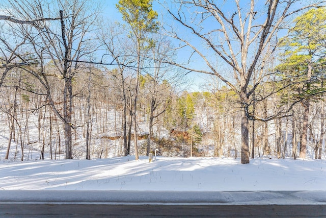 view of yard layered in snow