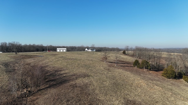 view of yard with a rural view