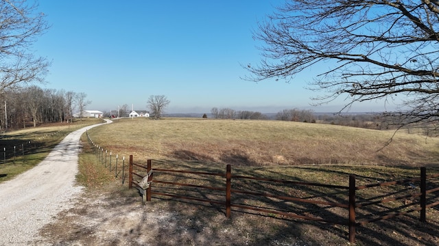 view of street with a rural view and driveway