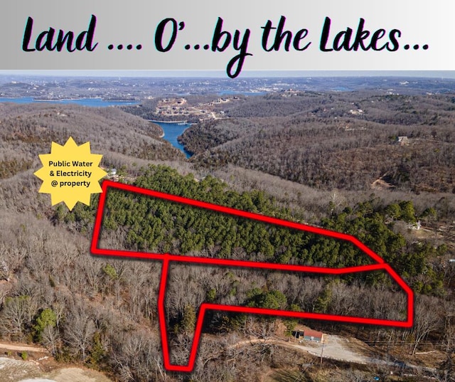 000 Ross Ln, Lampe, MO 65681