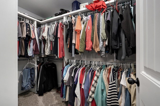 spacious closet featuring carpet floors