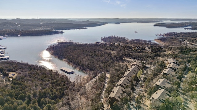 birds eye view of property featuring a forest view and a water view