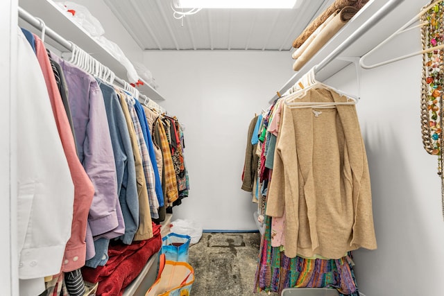 spacious closet with carpet flooring