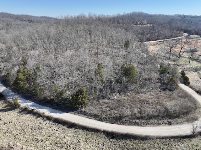 000 Carter 123, Van Buren MO, 63965 land for sale