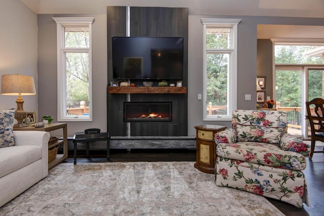 living room with wood finished floors and a fireplace