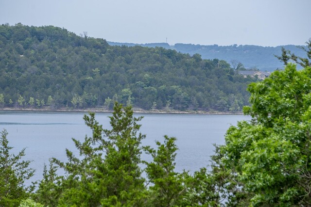 512 Nature Trail Rd, Blue Eye, MO 65611 - photo 48