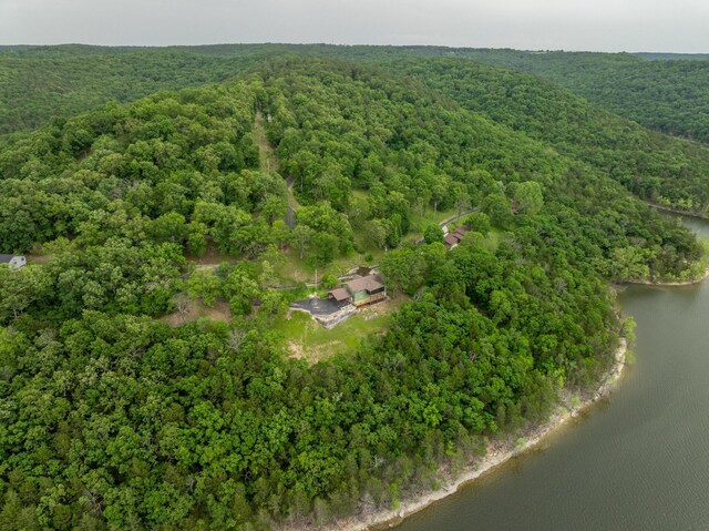 512 Nature Trail Rd, Blue Eye, MO 65611 - photo 63
