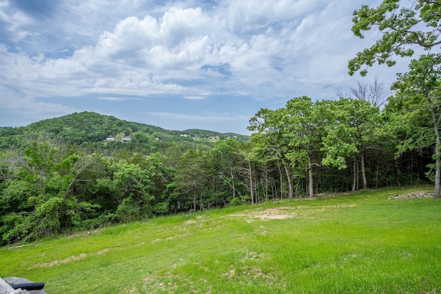 512 Nature Trail Rd, Blue Eye, MO 65611 - photo 49