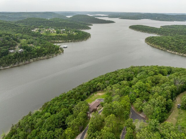 512 Nature Trail Rd, Blue Eye, MO 65611 - photo 65