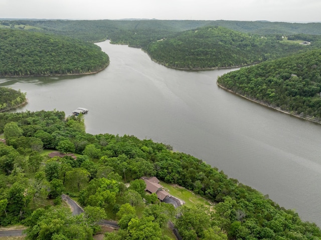 512 Nature Trail Rd, Blue Eye, MO 65611 - photo 4