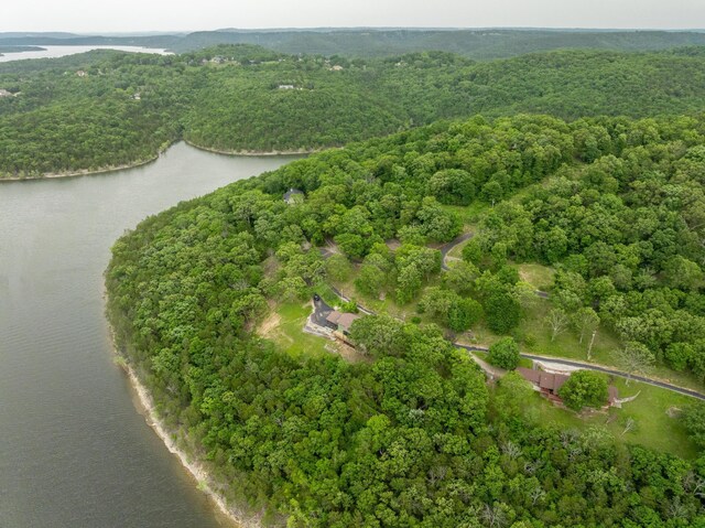 512 Nature Trail Rd, Blue Eye, MO 65611 - photo 64