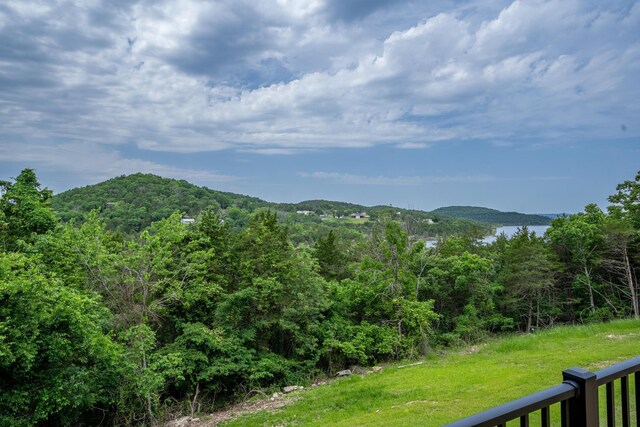 512 Nature Trail Rd, Blue Eye, MO 65611 - photo 11