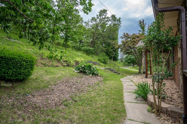 512 Nature Trail Rd, Blue Eye, MO 65611 - photo 55